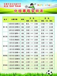中超球员在世界杯中的表现：朴振燮、金玟哉和巴坎布的征战之路